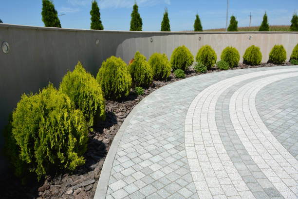 Reasons to Select Us for Your Driveway Paving Requirements in Kahoka, MO